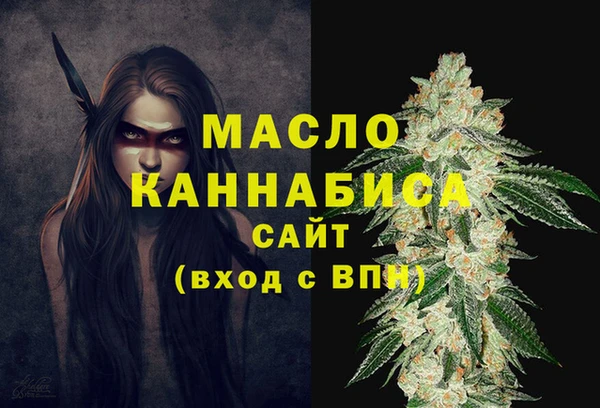 гидра Богородицк