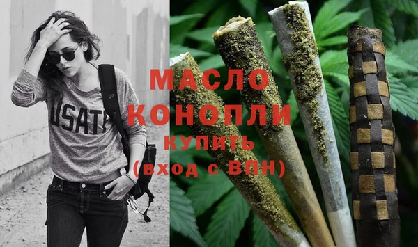 гидра Богородицк