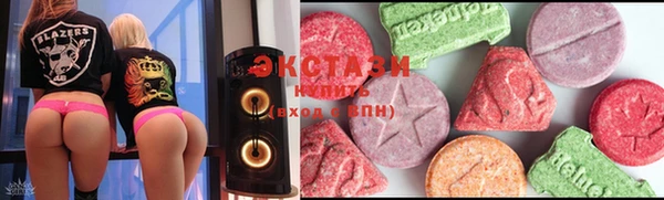 гидра Богородицк