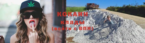 spice Богородск