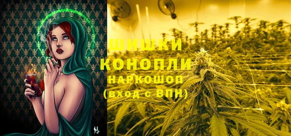 молекула духа Богданович