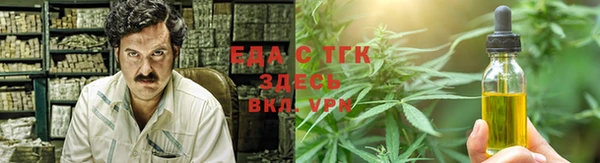 гидра Богородицк