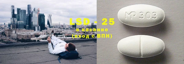 молекула духа Богданович