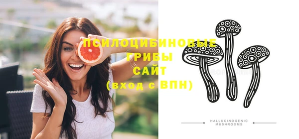 молекула духа Богданович