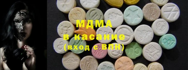 молекула духа Богданович