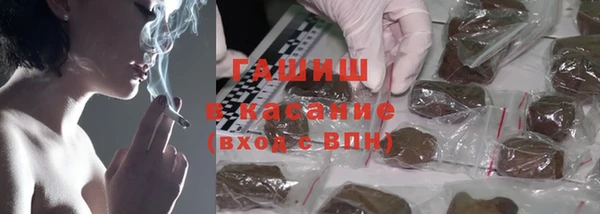 spice Богородск