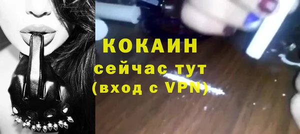 spice Богородск