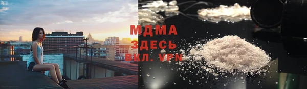spice Богородск
