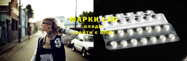 молекула духа Богданович