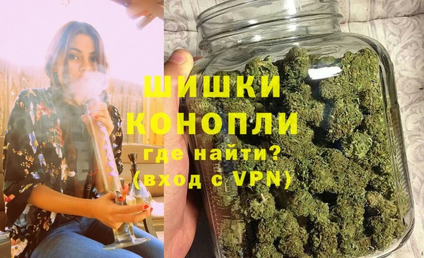 молекула духа Богданович