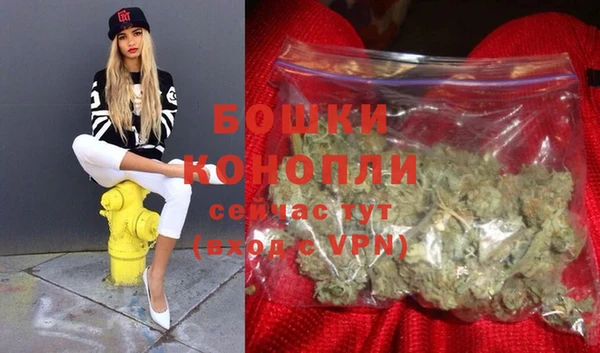 молекула духа Богданович