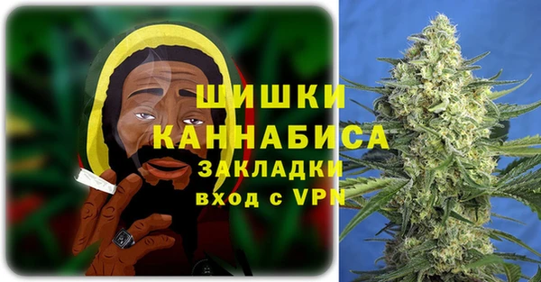 молекула духа Богданович
