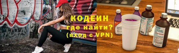 молекула духа Богданович