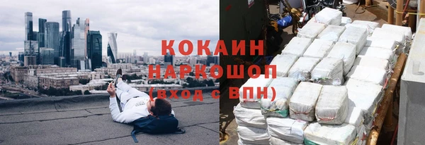гидра Богородицк