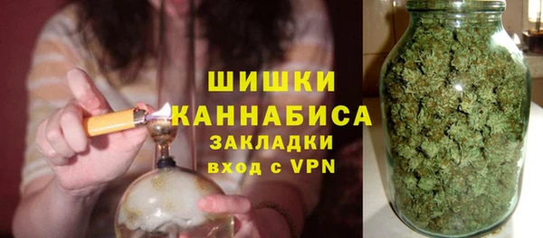гидра Богородицк