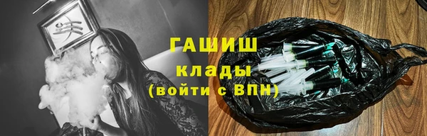 spice Богородск