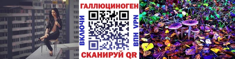 Галлюциногенные грибы Psilocybine cubensis Купить Ивантеевка
