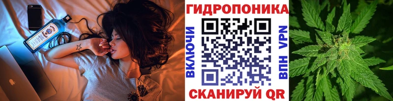Каннабис конопля Ивантеевка