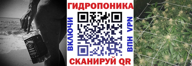 Купить  Ивантеевка  Бошки марихуана AK-47 